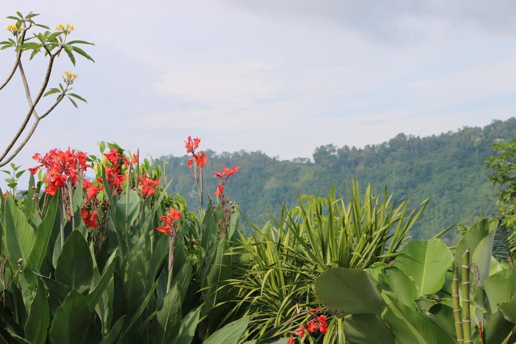 Kanda Homestay Sidemen  Esterno foto